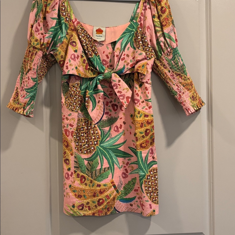 FARM Rio Coral and Green Tropical Dress/Top